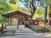 Kasuga ninai jaya ร้านอาหารพื้นเมืองเมืองนารา