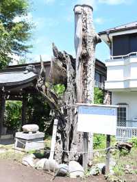 【日月神社/埼玉県】昼夜に渡って氏子を守る
