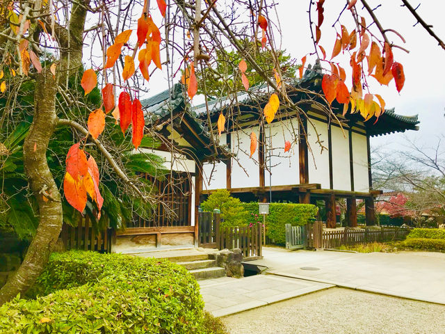 A beloved symbol of Nara’s connection to nature 🇯🇵