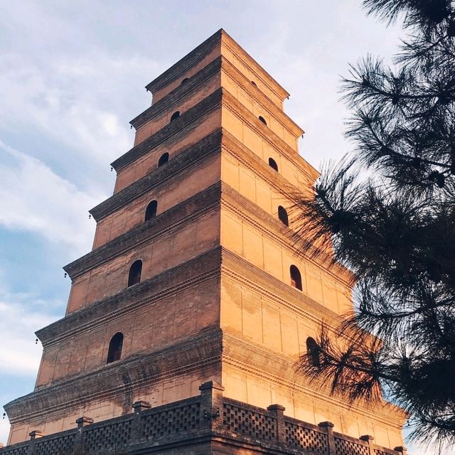 Visit Dayan Pagoda Xi'an 