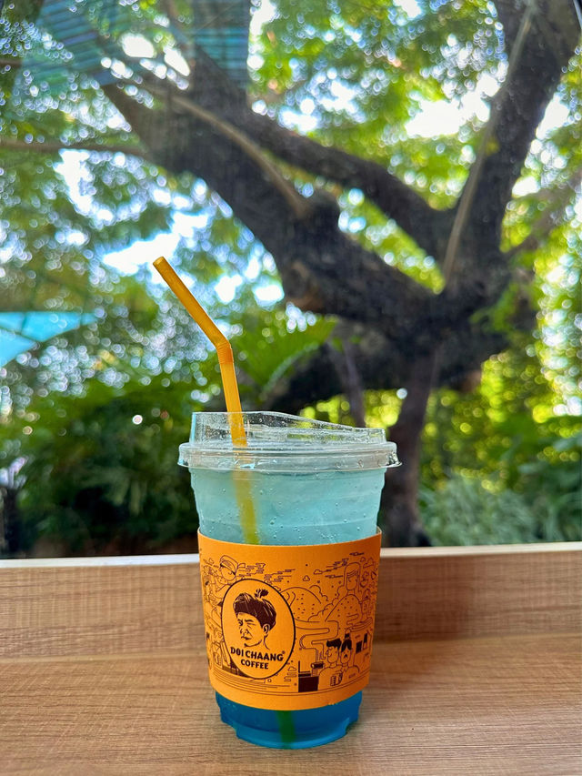 คาเฟ่ที่เกินความคาดหมาย The Gardener Cafe