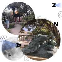 江之島景點懶人包🥰特色植物園