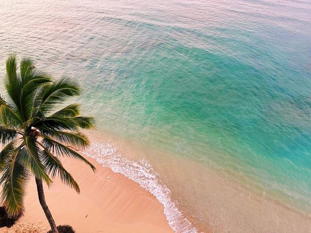 🌴 Stay at Outrigger Reef Waikiki