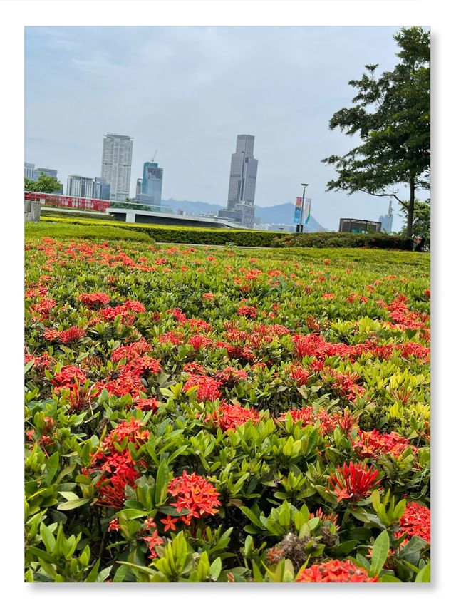 🎨✨ 光影藝術之旅 @ 維港！🚀🌟