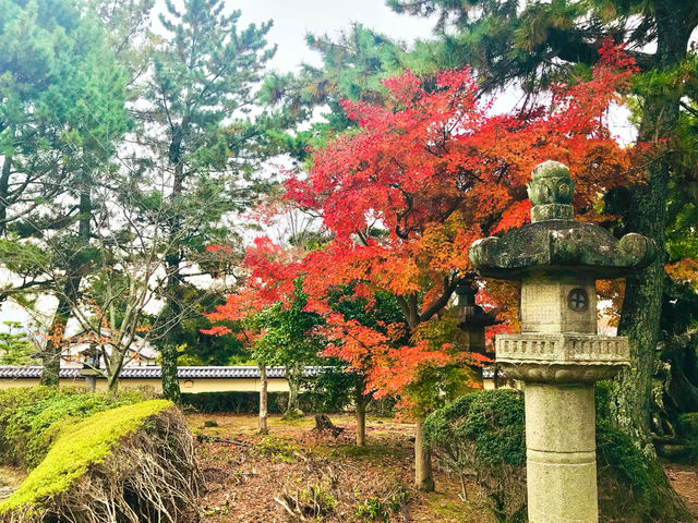 Recognize us Historic Monuments of Ancient Nara 🇯🇵