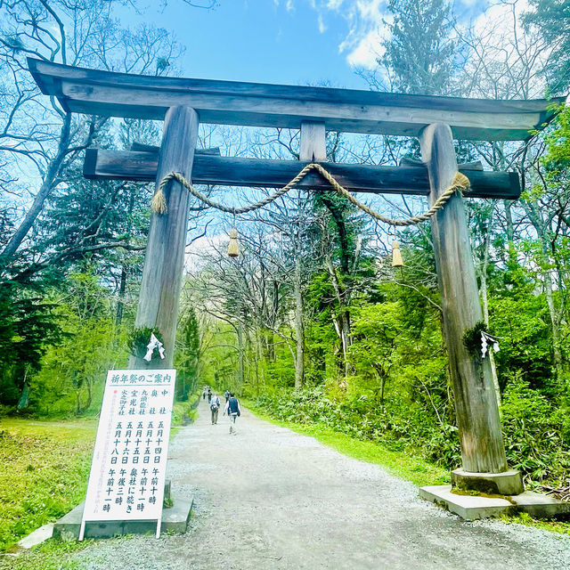 【長野県/大鳥居をくぐり⛩️美しい新緑の中を歩いて戸隠神社奥社へ】
