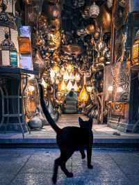 【エジプト】かつて猫が神格化されていた国