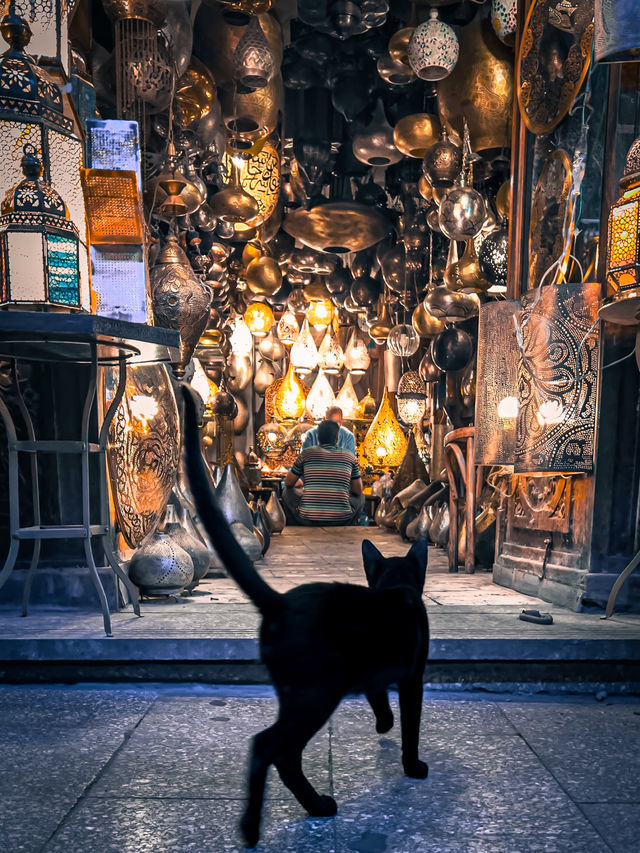 【エジプト】かつて猫が神格化されていた国