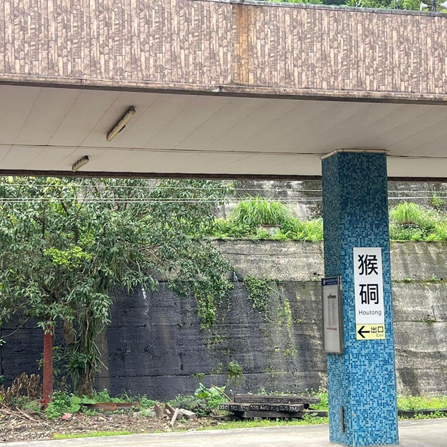 Houtong Cat Village หมู่บ้านแมวสุดน่ารัก