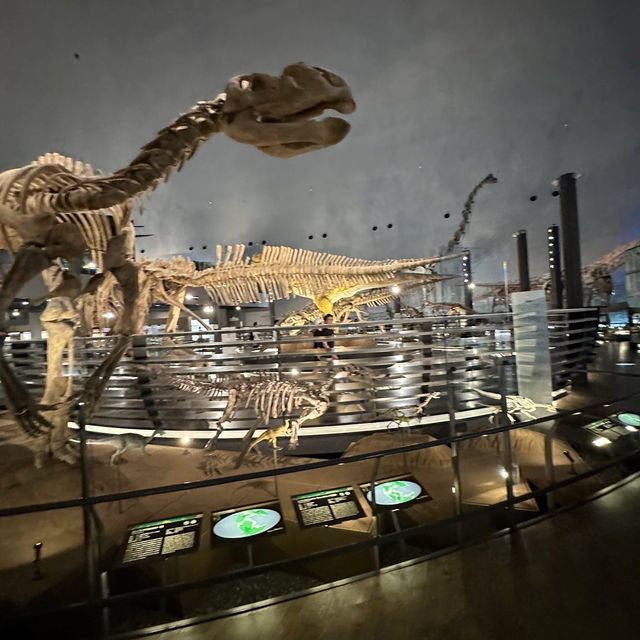 【福井】世界三大恐竜博物館🦖