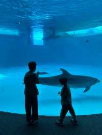【 免費與海豚互動。水族館•海響館 】