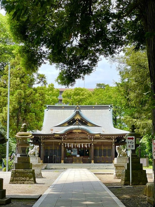 【東村山八坂神社/東京都】東村山にある祇園信仰の神社