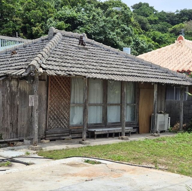 혼자만의 시간이 필요할때 모든 걸 다 감싸주는 오키나와