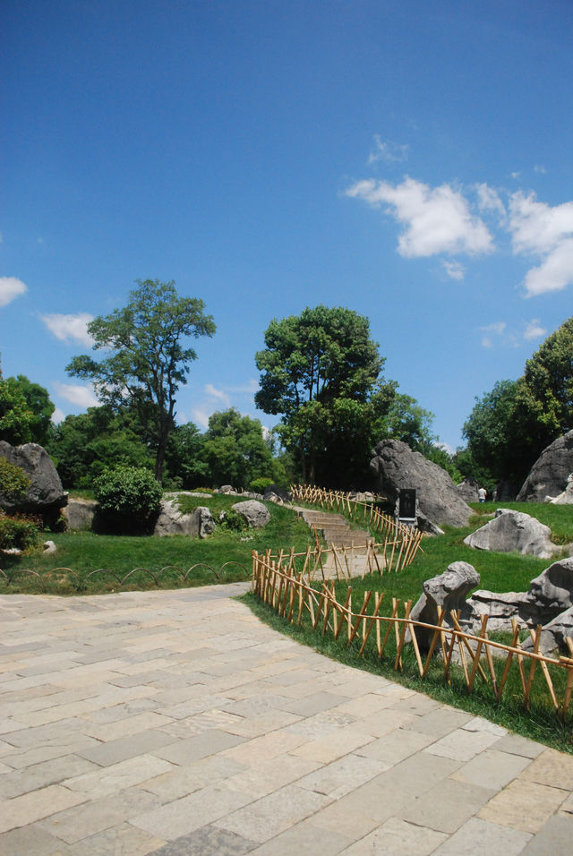 Stone Forest, The Wonder under the Heaven