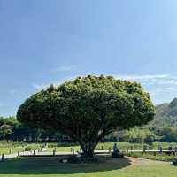 FARM TO CAFE | คาเฟ่สุดชิลล์วิวภูเขา