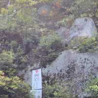 【尾道】千光寺