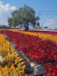 Goseokjeong Flower Garden 