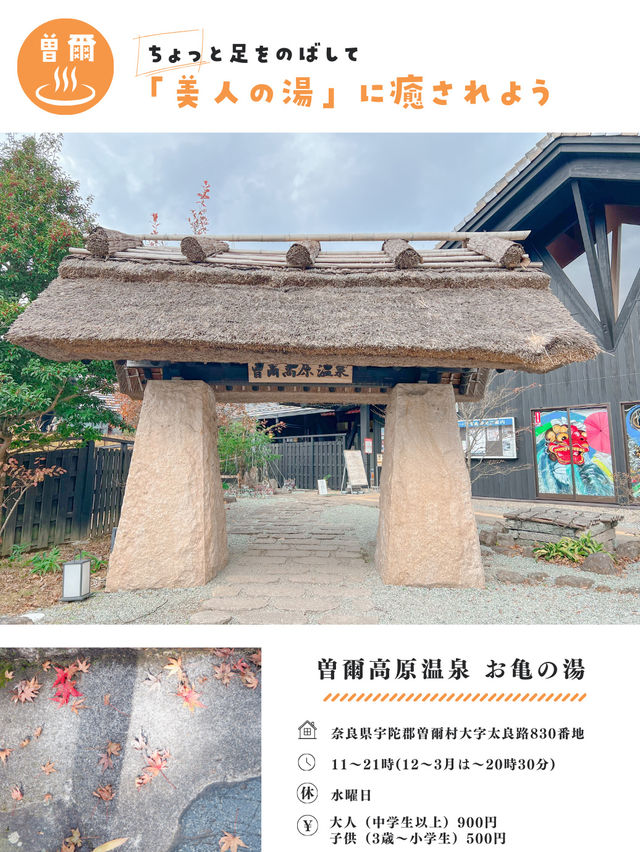 奈良に美し過ぎる『お寺』があるって知ってた⁉️
