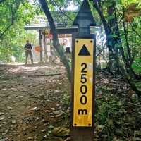 Adventurous jungle trekking at Gunung Lambak, Kluang
