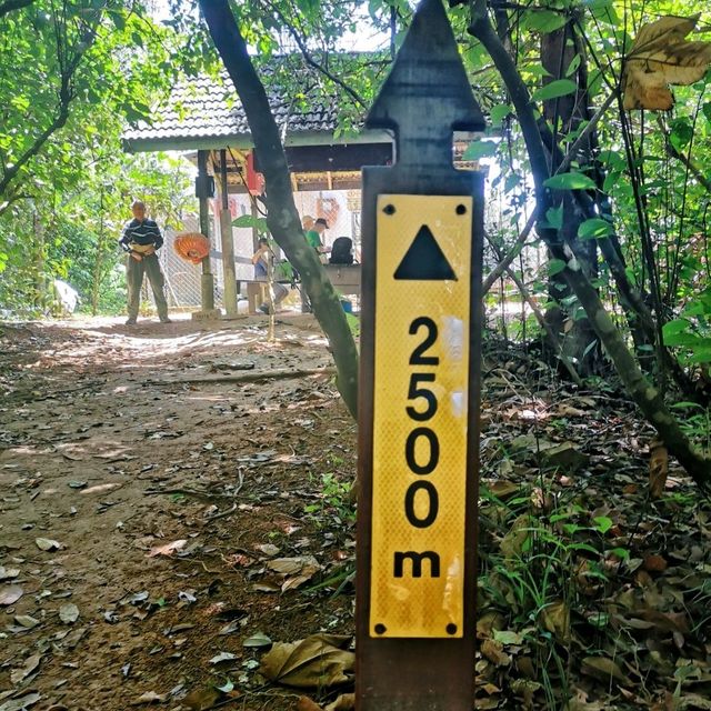 Adventurous jungle trekking at Gunung Lambak, Kluang