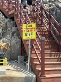 강원도 고성 BTS촬영지 산책하기🍀🌊