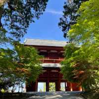 高野山金剛峯寺を訪れました！