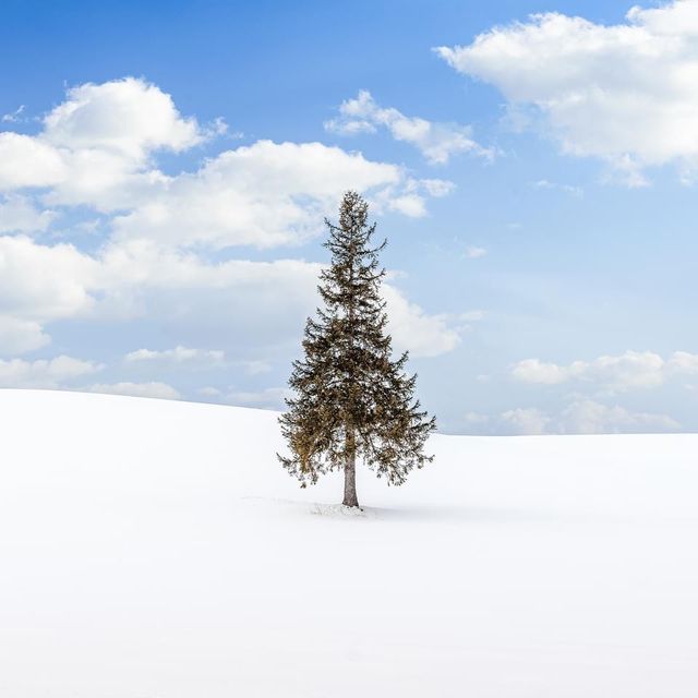 Hokkaido