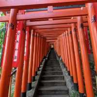 日本東京：日本三大祭典之一的山王祭：日枝神社