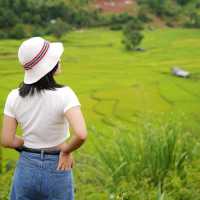 นาขั้นบันได - บ้านเวร บ่อเกลือ, น่าน