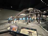 【🇺🇸芝加哥🇺🇸】Field Musuem：暴龍🦖 T Rex 體驗，難忘博物館之旅，適合帶小朋友來震撼教育一下‼️