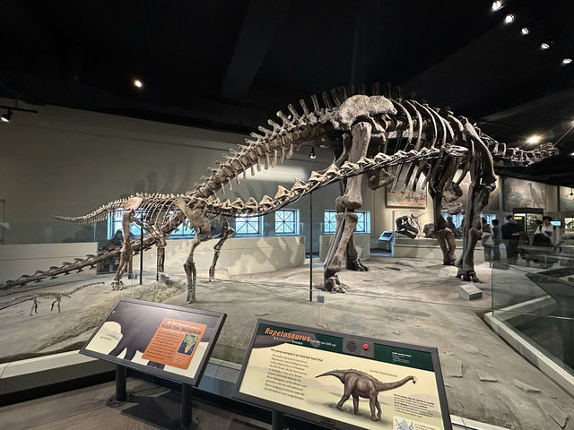 【🇺🇸芝加哥🇺🇸】Field Musuem：暴龍🦖 T Rex 體驗，難忘博物館之旅，適合帶小朋友來震撼教育一下‼️