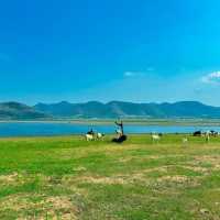 Morethan beach and Cafe