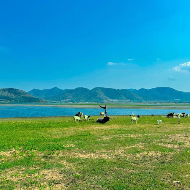 Morethan beach and Cafe