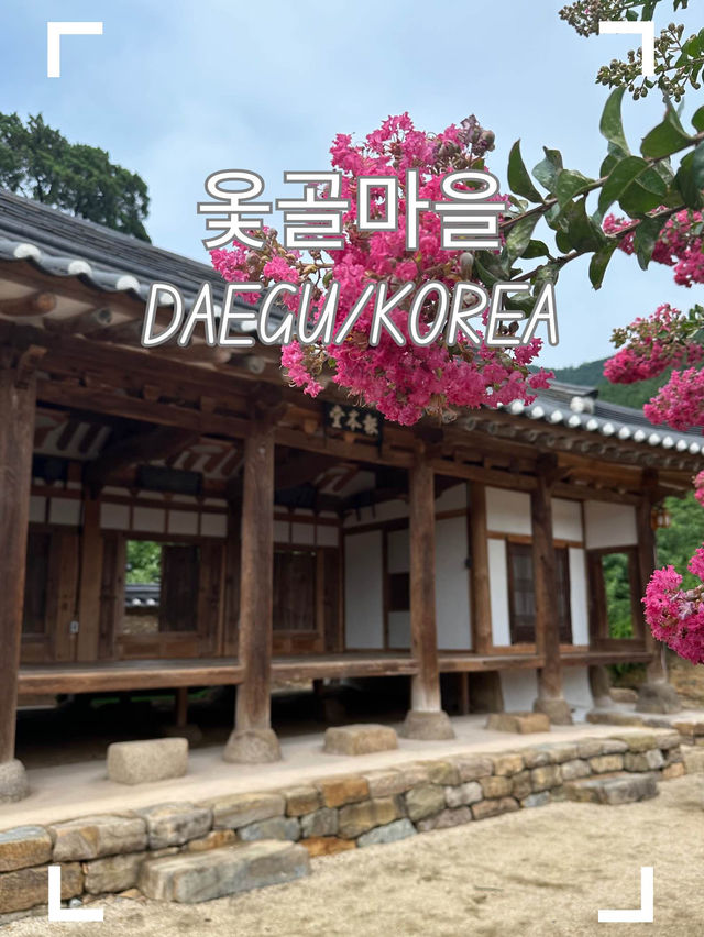 【韓国/大邱】大邱で1番古い村で韓服体験！