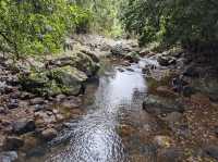 Springbrook National Park