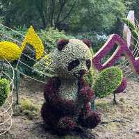 Nature's Oasis: Discovering Hangzhou Botanical Garden