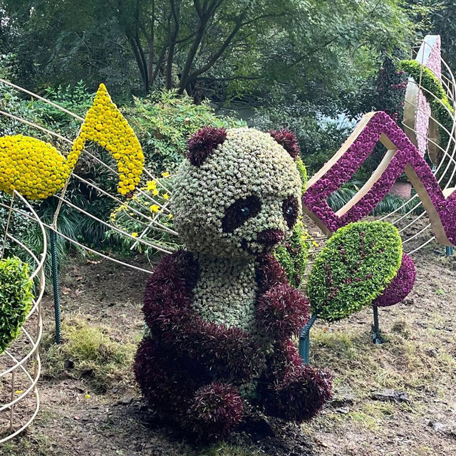 Nature's Oasis: Discovering Hangzhou Botanical Garden