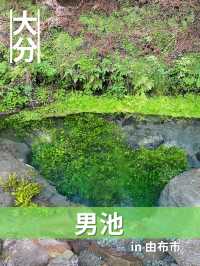 【大分/由布】暑い夏に訪れたい！涼しみスポット！