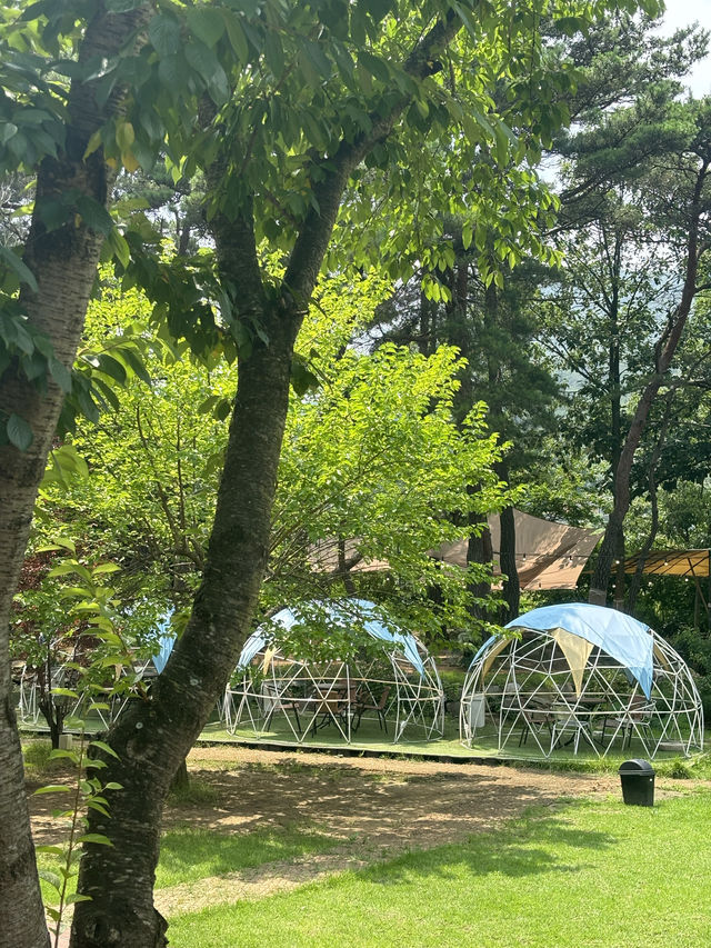 무등산과 맞닿은 공기좋은 대형카페,카페 얼씨