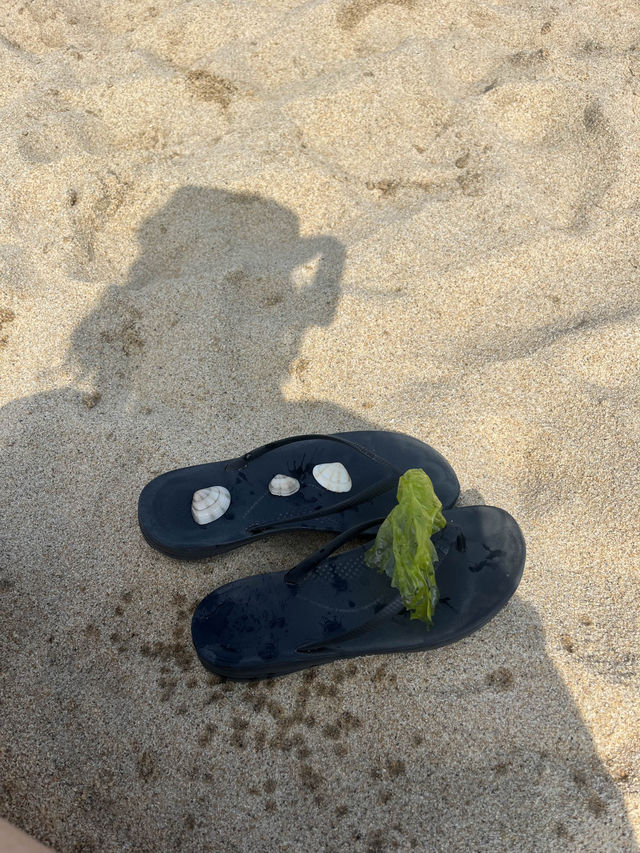 강원도 여름 바다 여행, 정동진 해수욕장