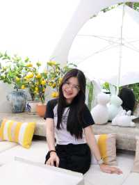 Source cafe