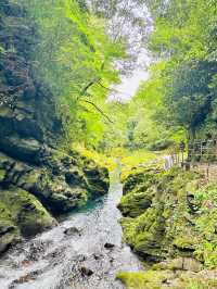 🇯🇵 北九州高千穗 一日自駕遊攻略 🌳大自然之旅⛰️