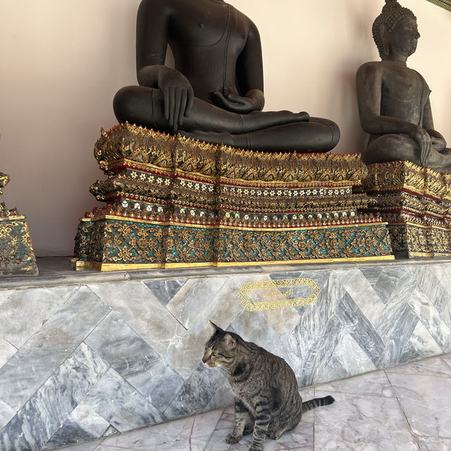 【曼谷臥佛寺】探索泰國最古老寺廟的寧靜與莊嚴