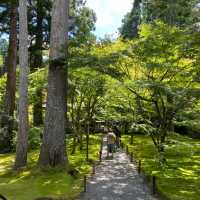京都三千院 ⛩️🍵 寧靜緻雅的好去處 ✨