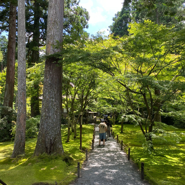 京都三千院 ⛩️🍵 寧靜緻雅的好去處 ✨