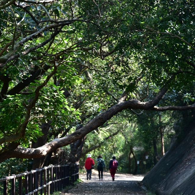 「坪洲」：週六遠離煩囂，舒緩壓力。適合香港旅遊