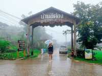อีต่อง-ปิล็อก ในฤดูฝน