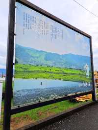 【福岡県うきは市：流川の桜並木】春の訪れを感じる絶景桜の並木道🌸