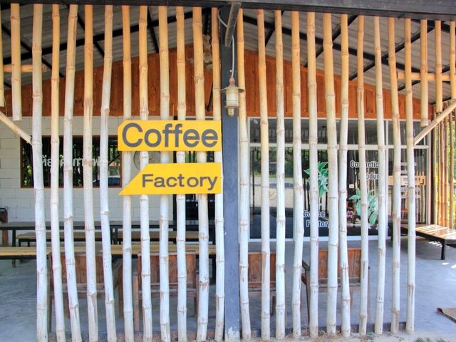 มาเที่ยวโรงคั่วกาแฟ วังน้ำเขียว