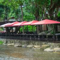 ปางแฟน : Rock n' River 